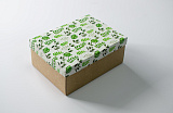 Коробка 270х190х100 Зеленые листья (крафт дно)