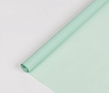 Пленка 40 мкм Лак Pastel 0,59х8м, зеленый чай