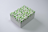 Коробка 270х190х100 Зеленые листья (белое дно)
