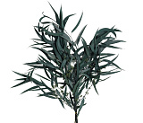 Сухоцвет "Эвкалипт Николи" длина 70-75 см, 100 гр, изумрудный (арт.4630270091833)